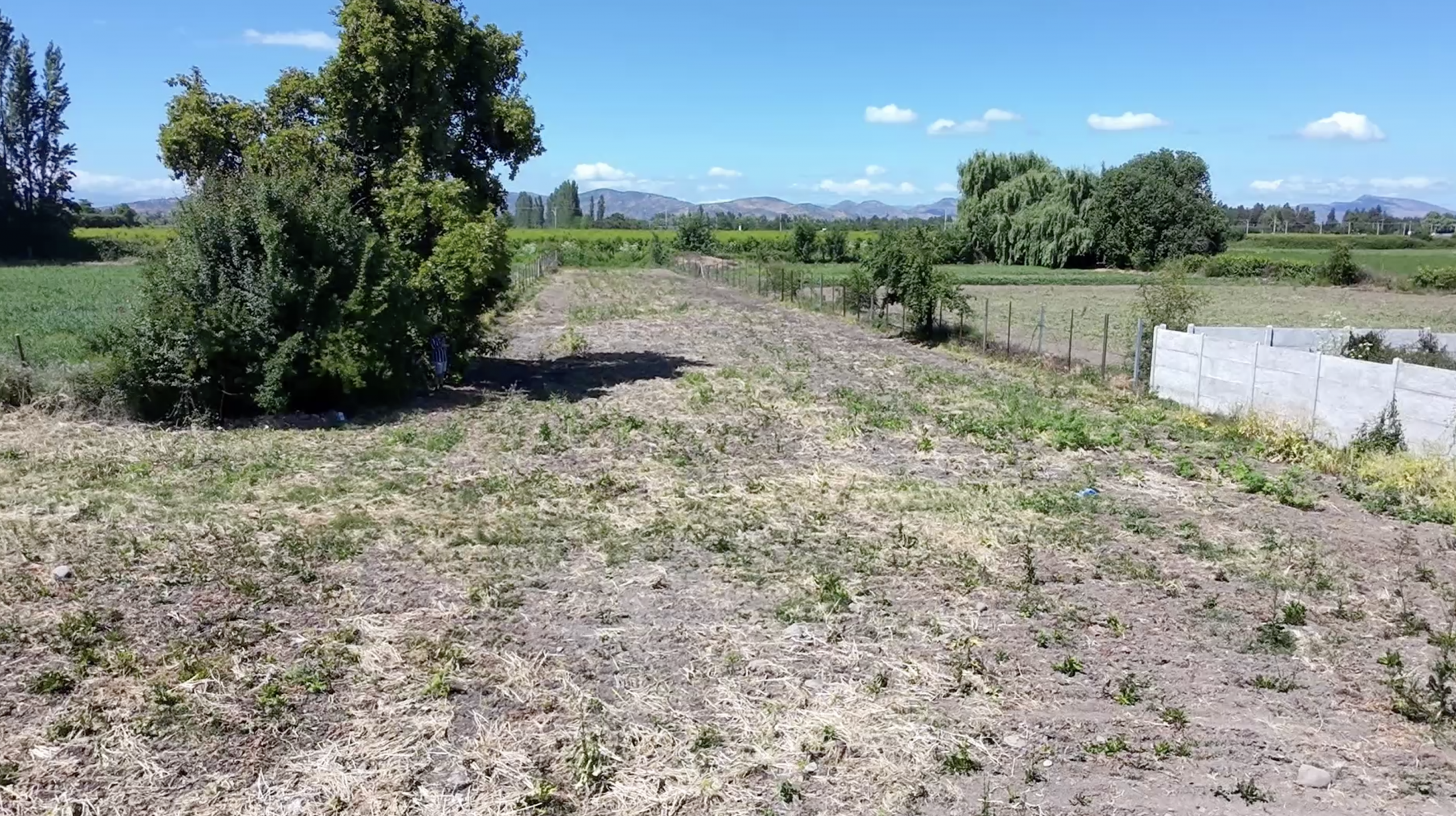 Terreno de la parcela en Donihue rodeado de naturaleza