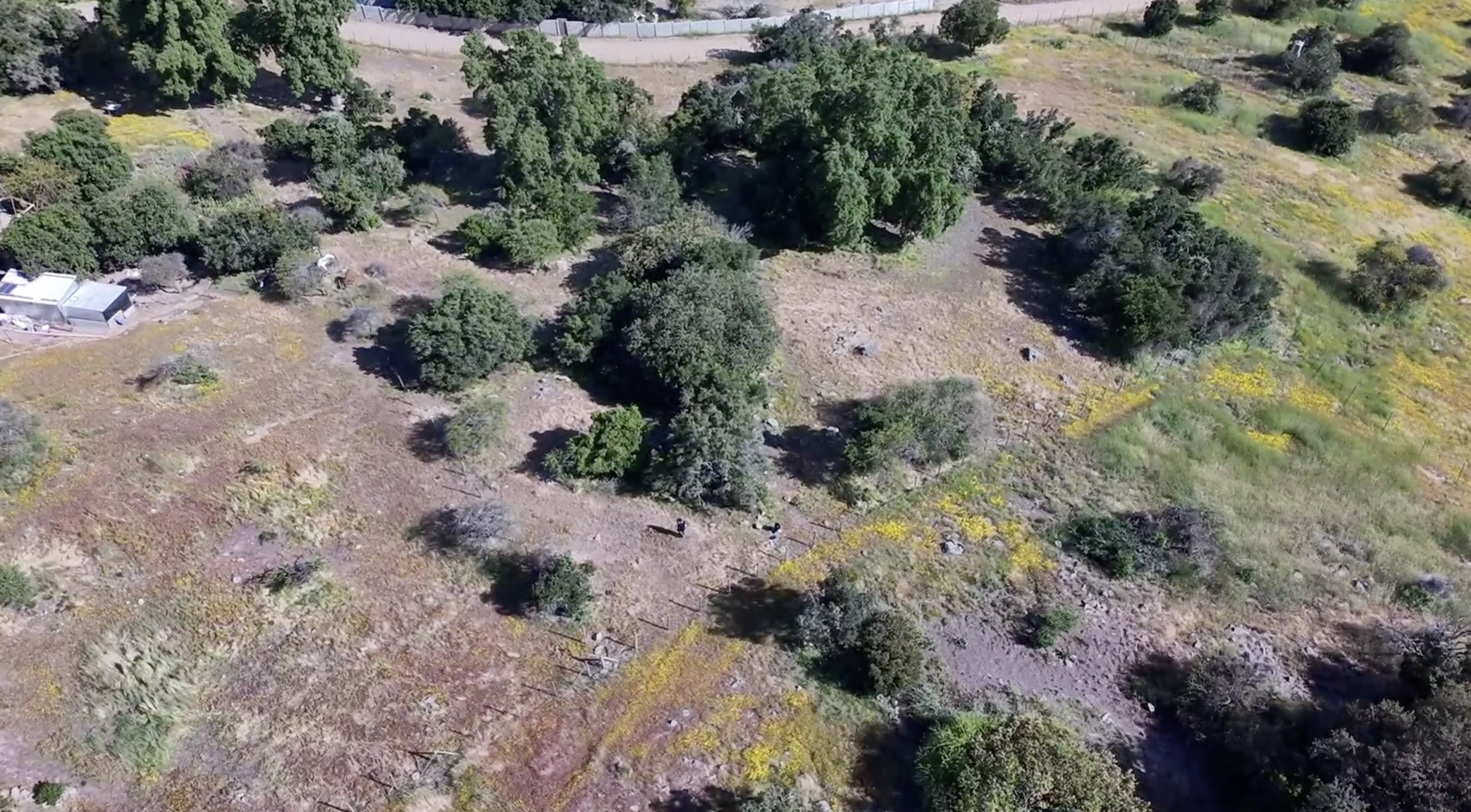 Terreno de la parcela en Machalí rodeado de naturaleza